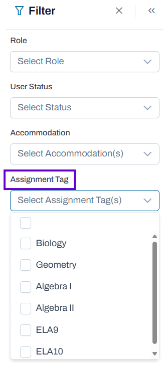 Assignment tag list in Filter pane.