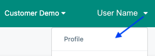 User Profile Menu Option 